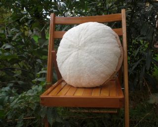 HÝNDÝSTAN CEVÝZLÝ PUF YASTIK